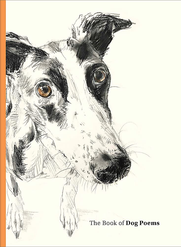 (Eng) The Book of Dog Poems (Hardcover) / Ana Sampson, illustrations by Sarah Maycock