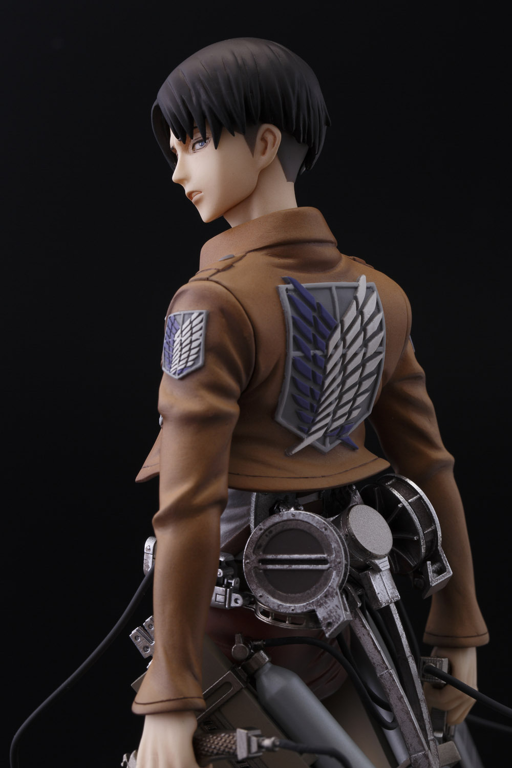 Attack On Titan Brave Order