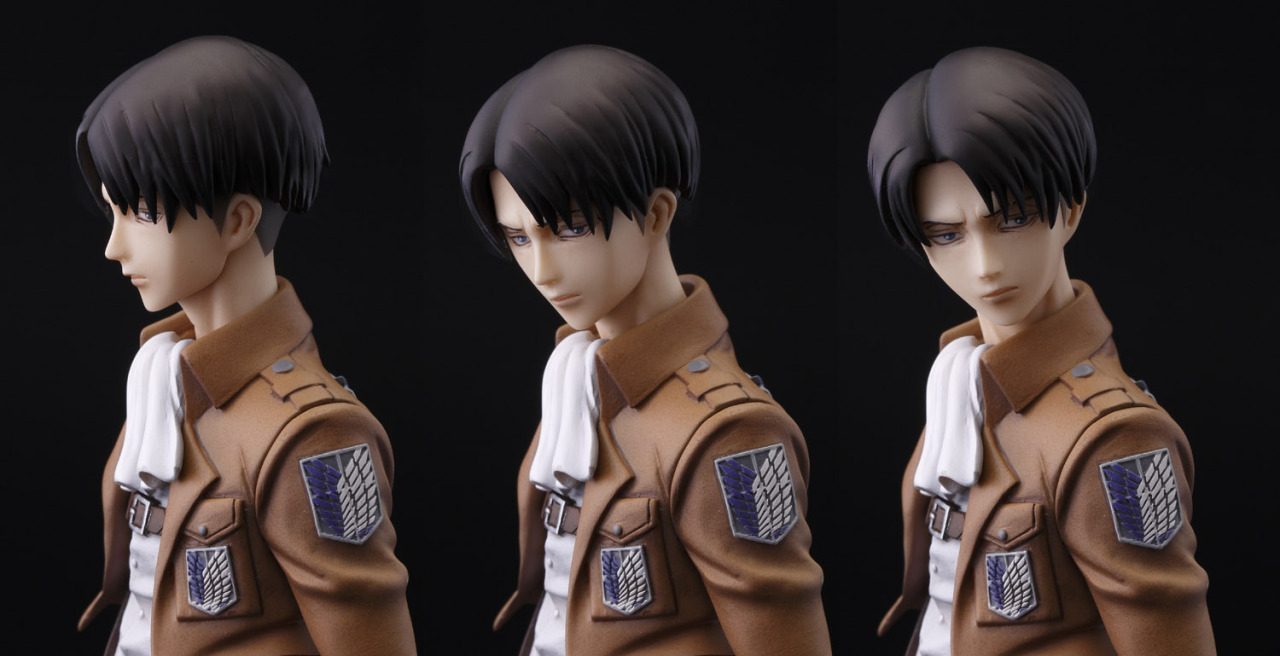 Attack On Titan Brave Order