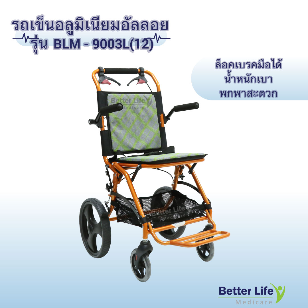 Mini Wheelchair