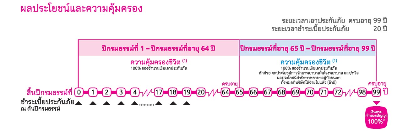 อินโฟผลประโยชน์ Flexi Protection 99/20