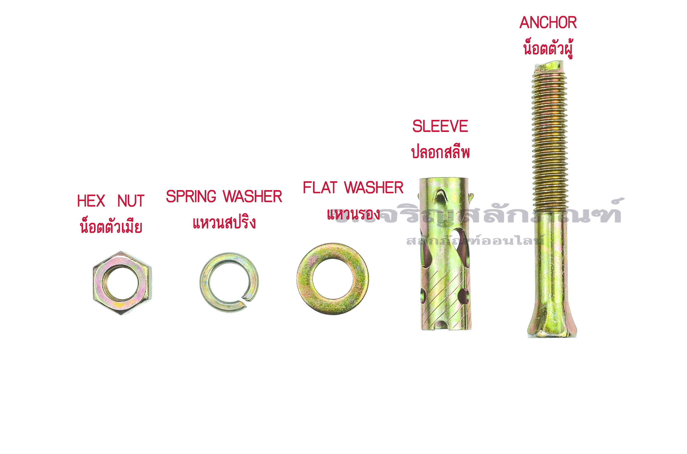 พุกเหล็ก PROMA 1/2