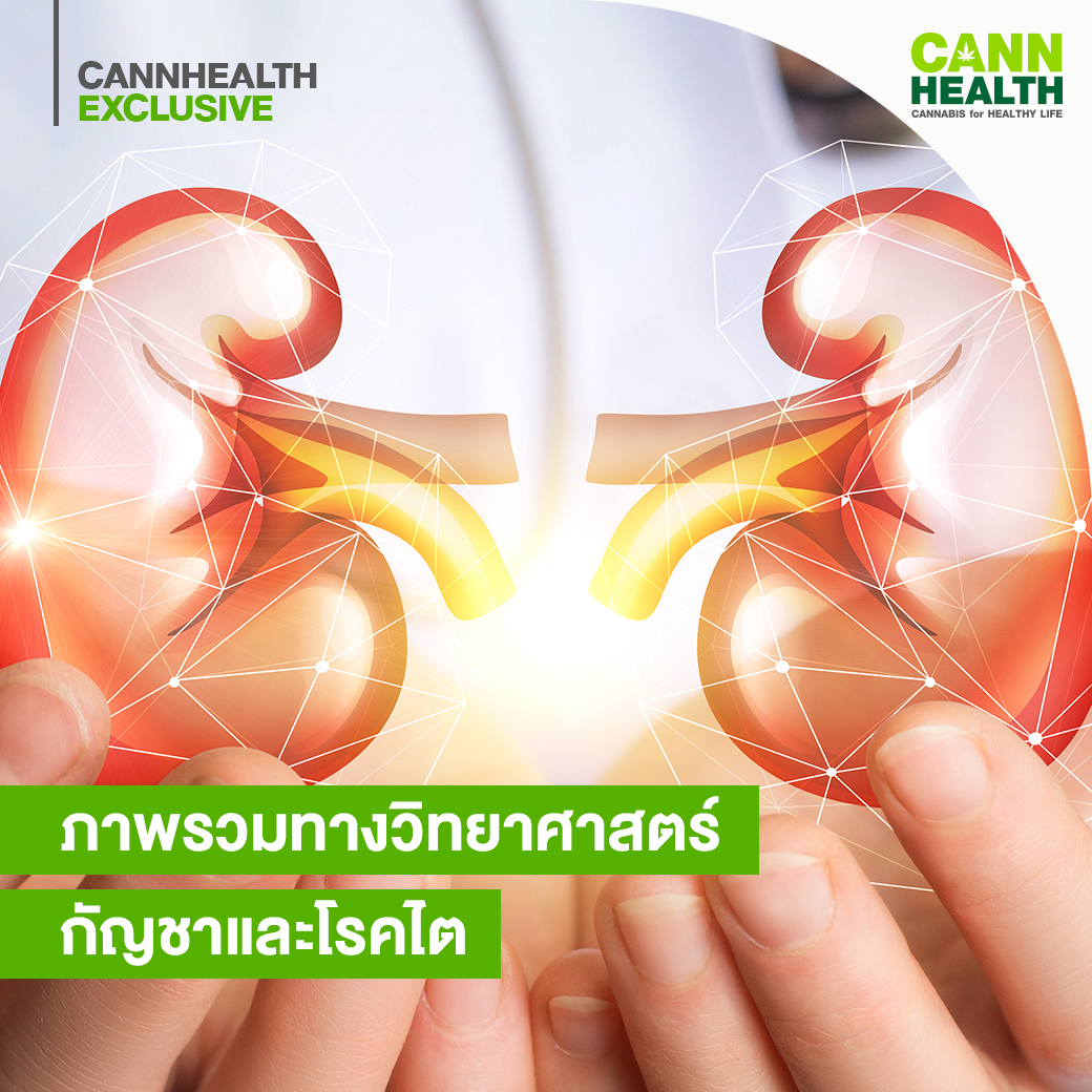 à¸ à¸²à¸žà¸£à¸§à¸¡à¸—à¸²à¸‡à¸§ à¸—à¸¢à¸²à¸¨à¸²à¸ªà¸•à¸£ à¸ à¸à¸Šà¸²à¹à¸¥à¸°à¹‚à¸£à¸„à¹„à¸• Cannhealth