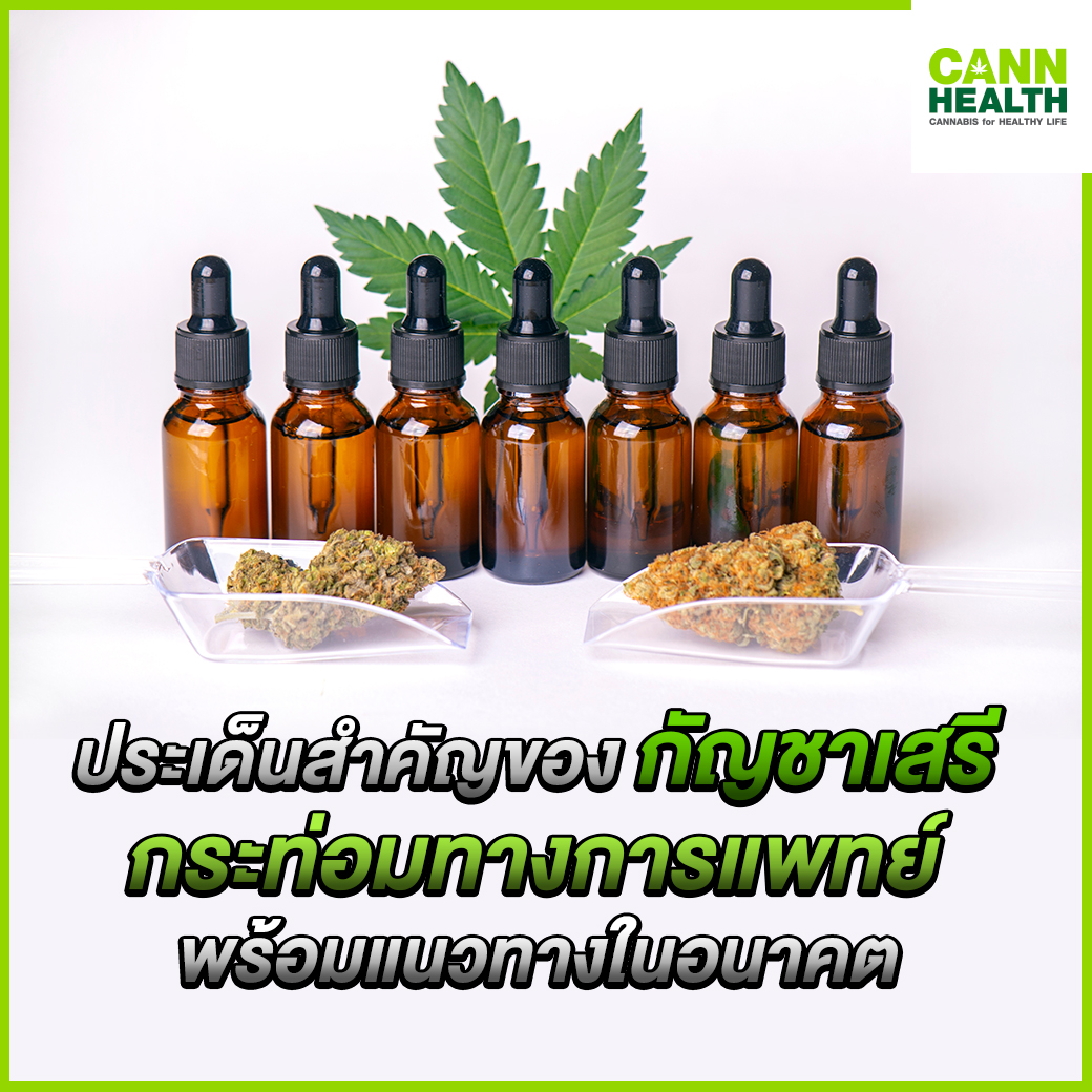 ประเด็นสำคัญของ กัญชาเสรี กระท่อมทางการแพทย์ พร้อมแนวทางใน ...