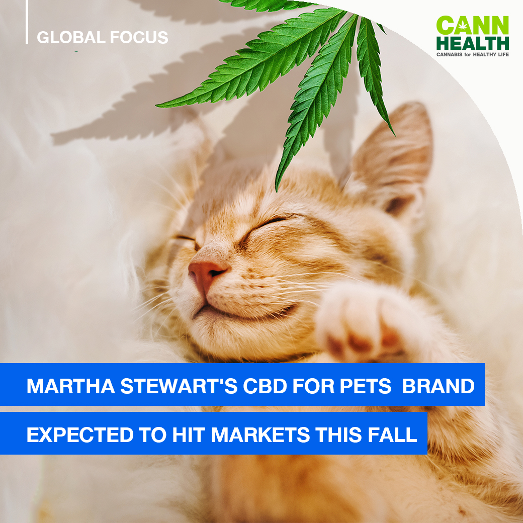 Martha Stewart S Cbd For Pets Brand Expected To Hit Markets This