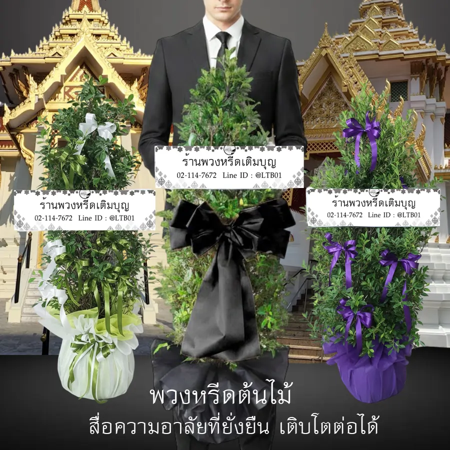 พวงหรีดต้นไม้ ต้นไทรเกาหลี รักษ์โลก ร้านพวงหรีดเติมบุญ