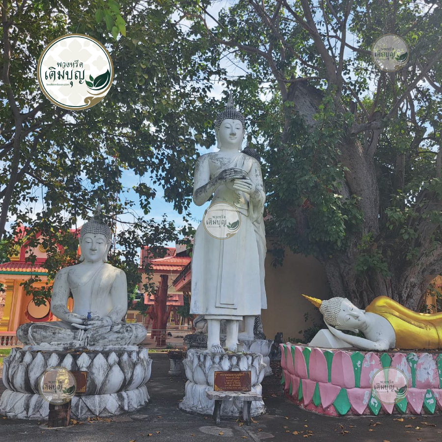 พระพุทธรูปปางลีลา ปางสมาธิ และปางไสยาสน์ ประดิษฐานใต้ต้นไม้ร่มรื่นในวัดวุฒาราม