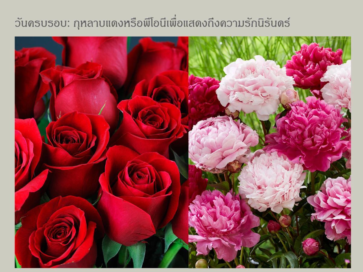ดอกไม้วันครบรอบ