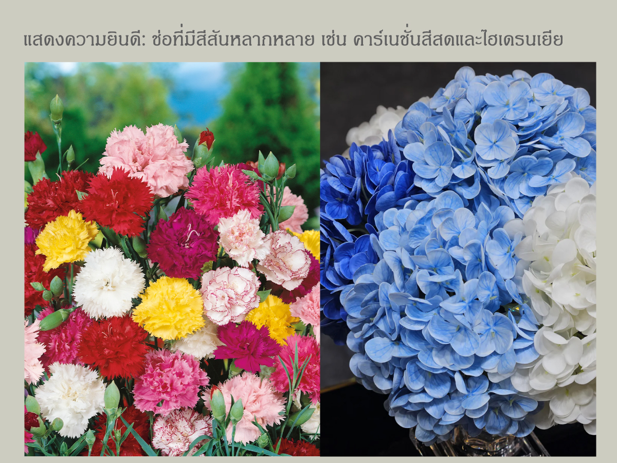 ดอกไม้ขอแสดงความยินดี