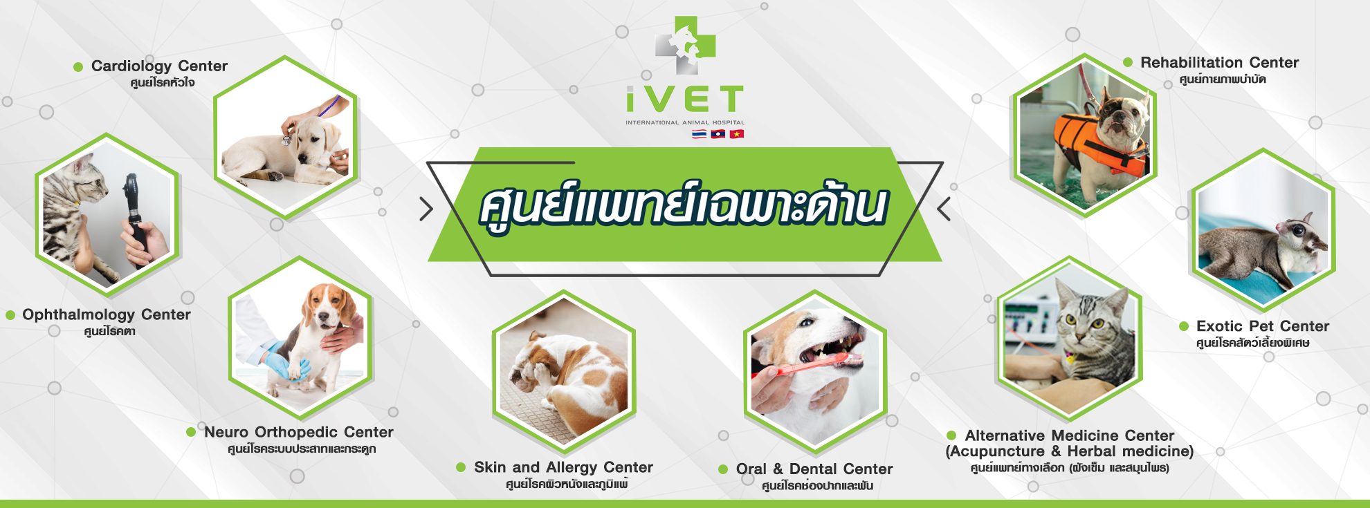 ลำไส้อักเสบในลูกสุนัขu201d - Ivethospital