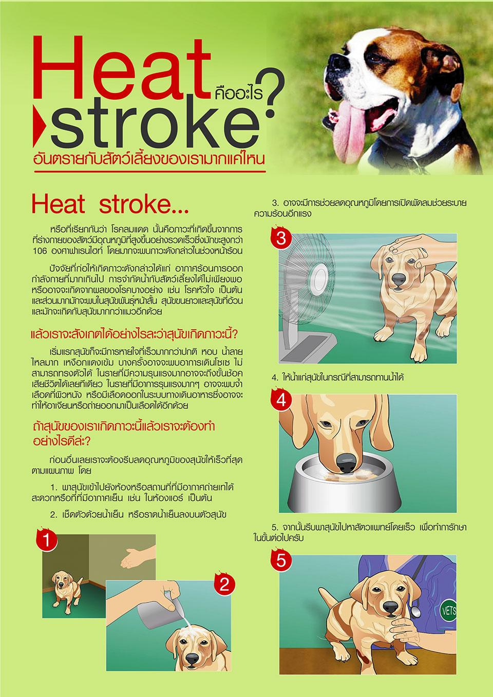 Heat Stroke คืออะไร ?