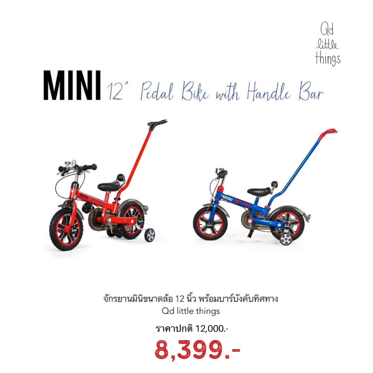 Mini - 12” Pedal Bike with Handle Bar 