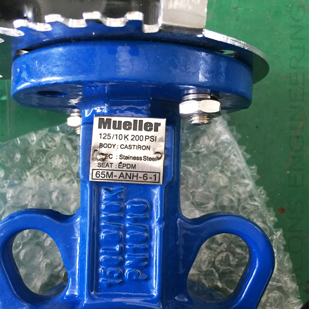 MUELLER - BUTTERFLY VALVE - Fucons