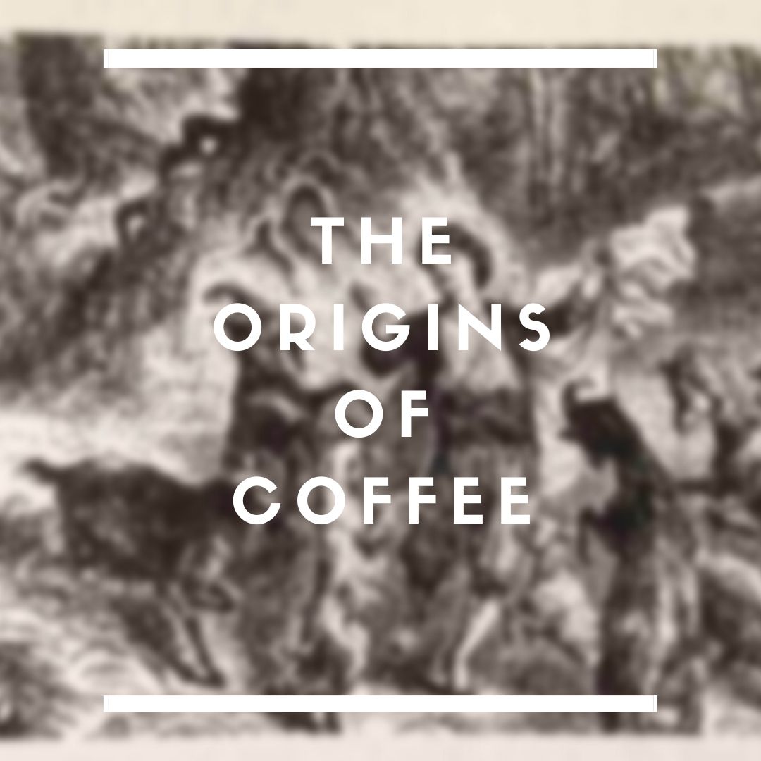 ต้นกำเนิดของกาแฟแต่ละ Origins