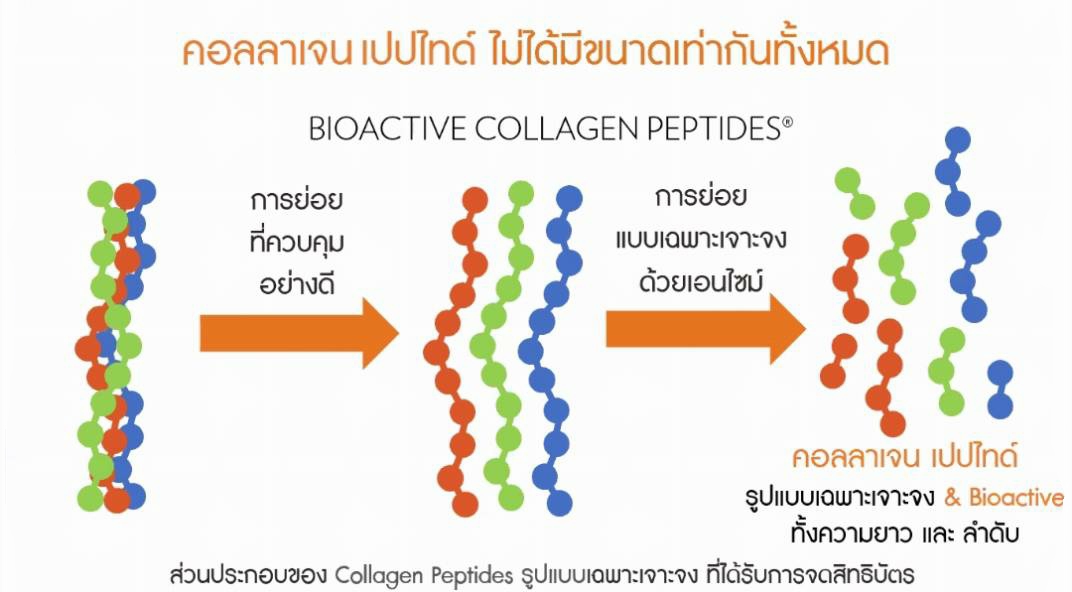 <Img src =”inner focus collagen plus.jpg 06” alt=“inner focus collagen plus 06”>