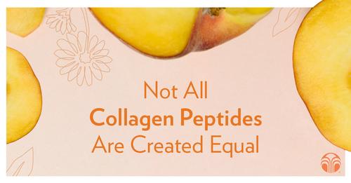 Beauty Focus Collagen+ <Img src =”beauty focus collagen+.jpg” alt=“collagen peptide ”>