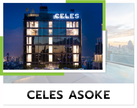 celes asoke 