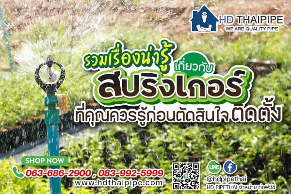 สปริงเกอร์ สปริงเกอร์
