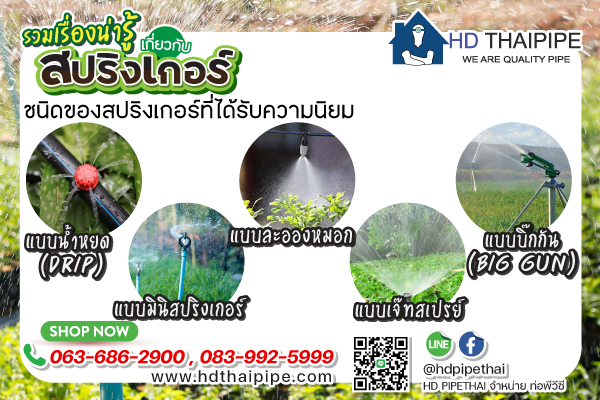 สปริงเกอร์_ที่คนนิยมใช้ สปริงเกอร์_ที่คนนิยมใช้