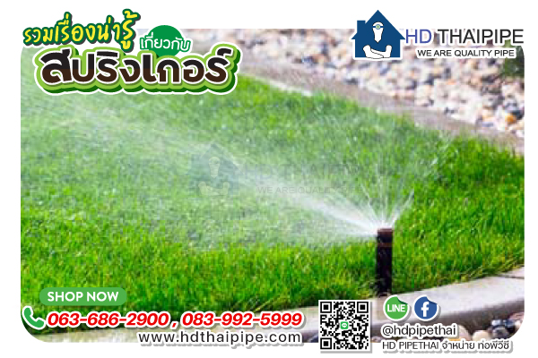 สปริงเกอร์แบบป็อบอัพ สปริงเกอร์แบบป็อบอัพ