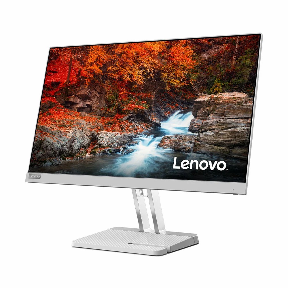 Lenovo L24e-20 ワイドモニター 悲しき 65dfkac1jp 23.8型