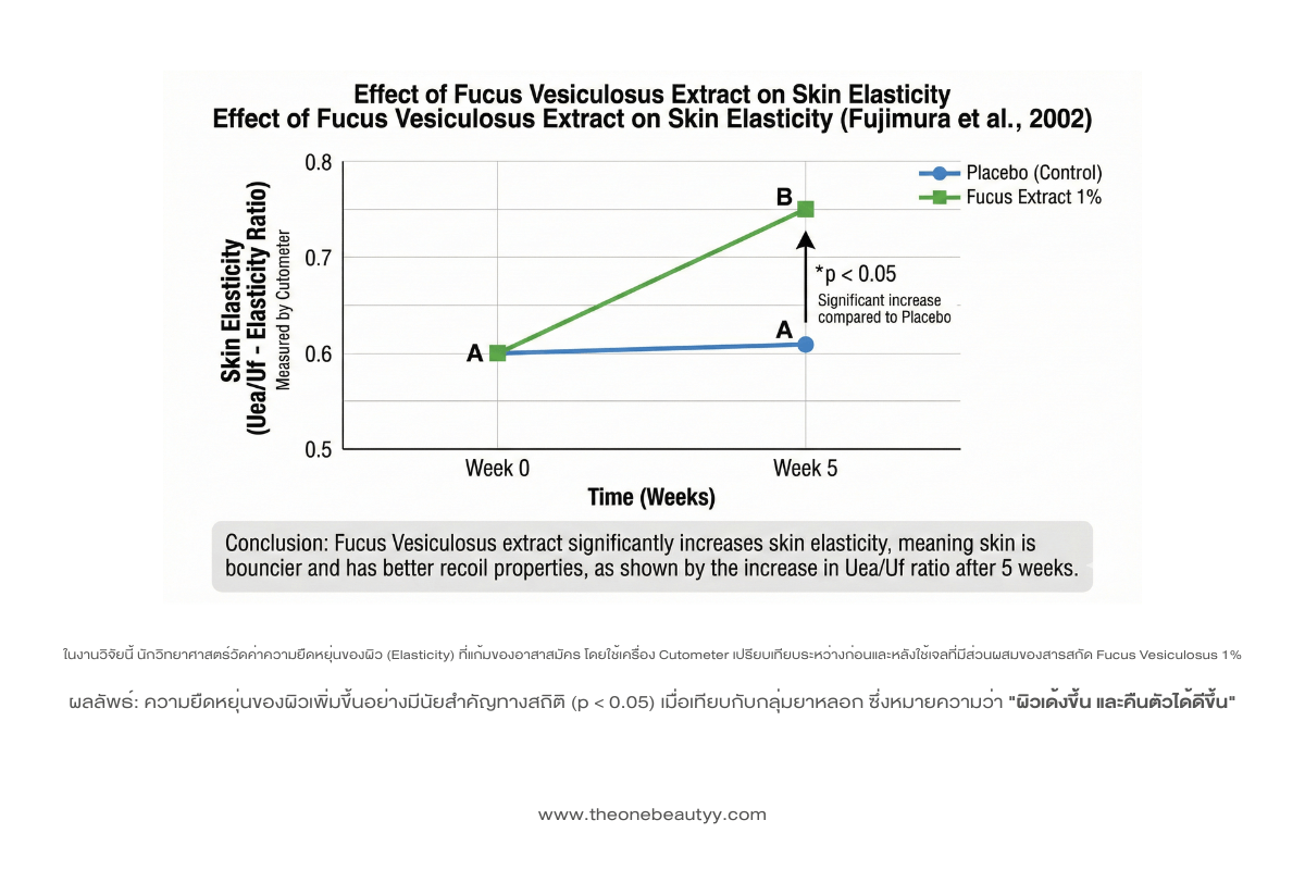 Graph showing skin elasticity
