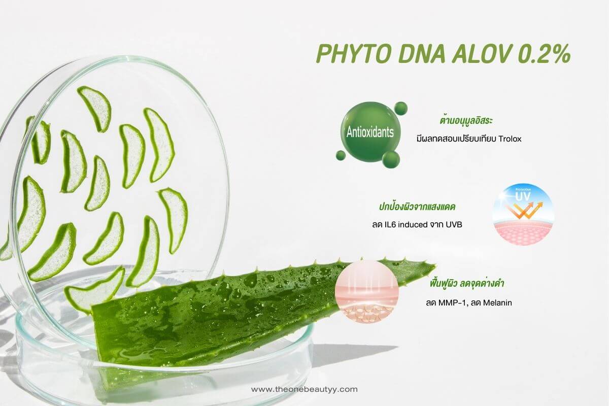 PhytoDNA Aloe