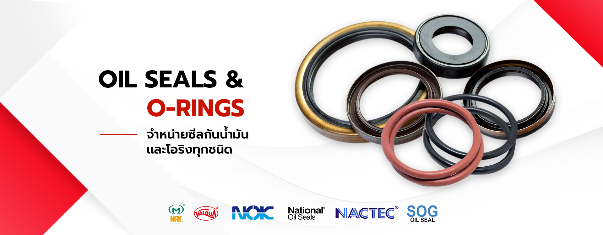 Thai Bearing Tech Supplying Bearings and Spare Parts Nearyby Bowin