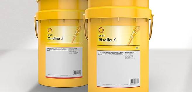 Shell Risella X - Thaibearingtech01