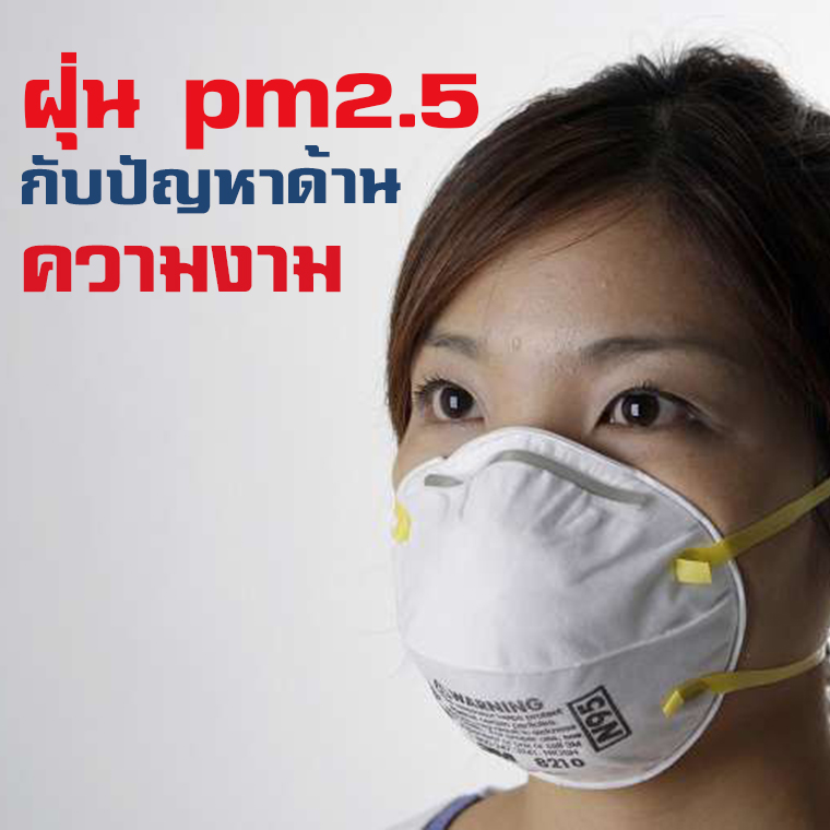 บทความ: ฝุ่น PM2.5 กับปัญหาเรื่องความงาม