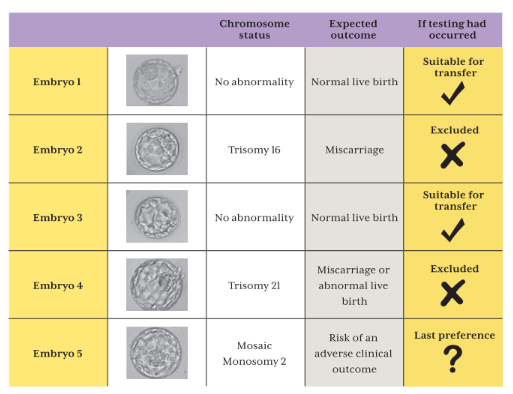 pgt-testing-embryo-transfer-genprime-genea.jpg