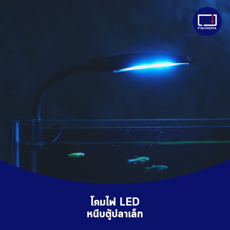โคมไฟหนีบตู้ปลา LED