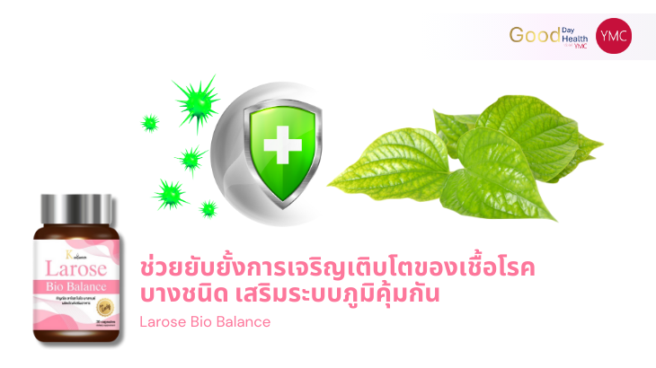 YMC_ใบพลูคาว_สมุนไพรสำหรับผู้หญิง