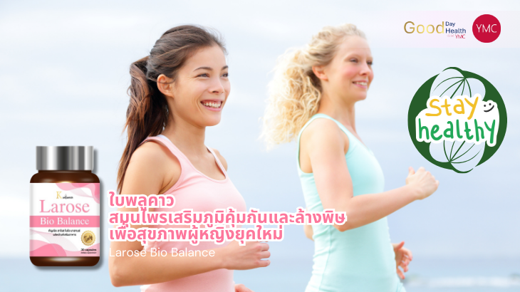 YMC_ใบพลูคาว_สมุนไพรสำหรับผู้หญิง