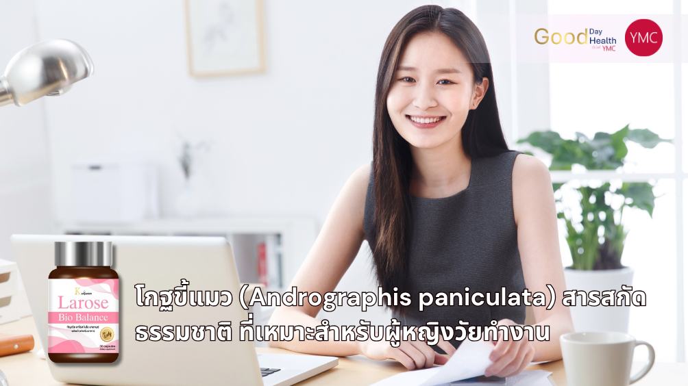 โกฐขี้แมว_สมุนไพรสำหรับผู้หญิง_YMC3