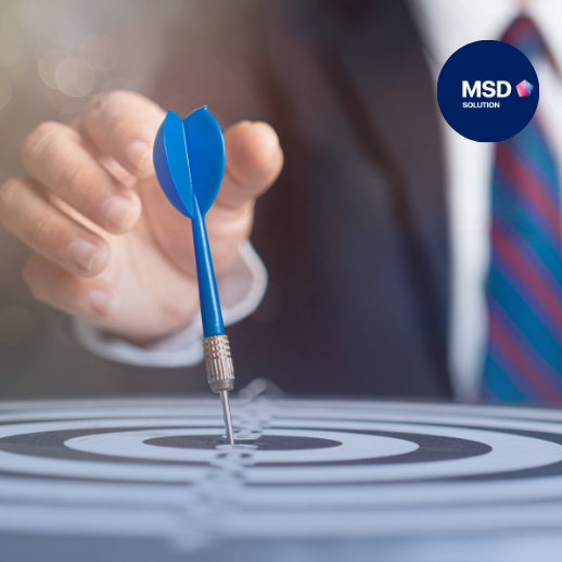 MSD Solution รับทำการตลาดออนไลน์