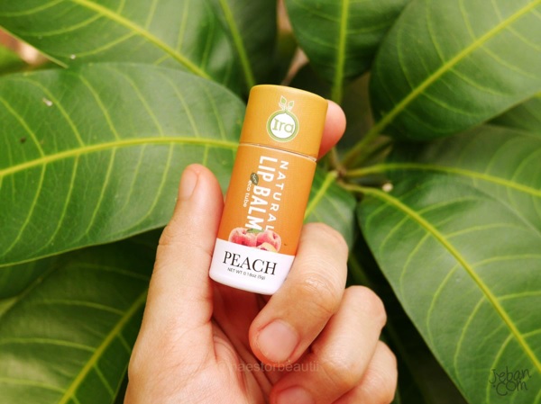 เเท่งกระดาษรักษ์โลก ลิปมันทำมาจากกระดาษสามารถย่อยสลายได้