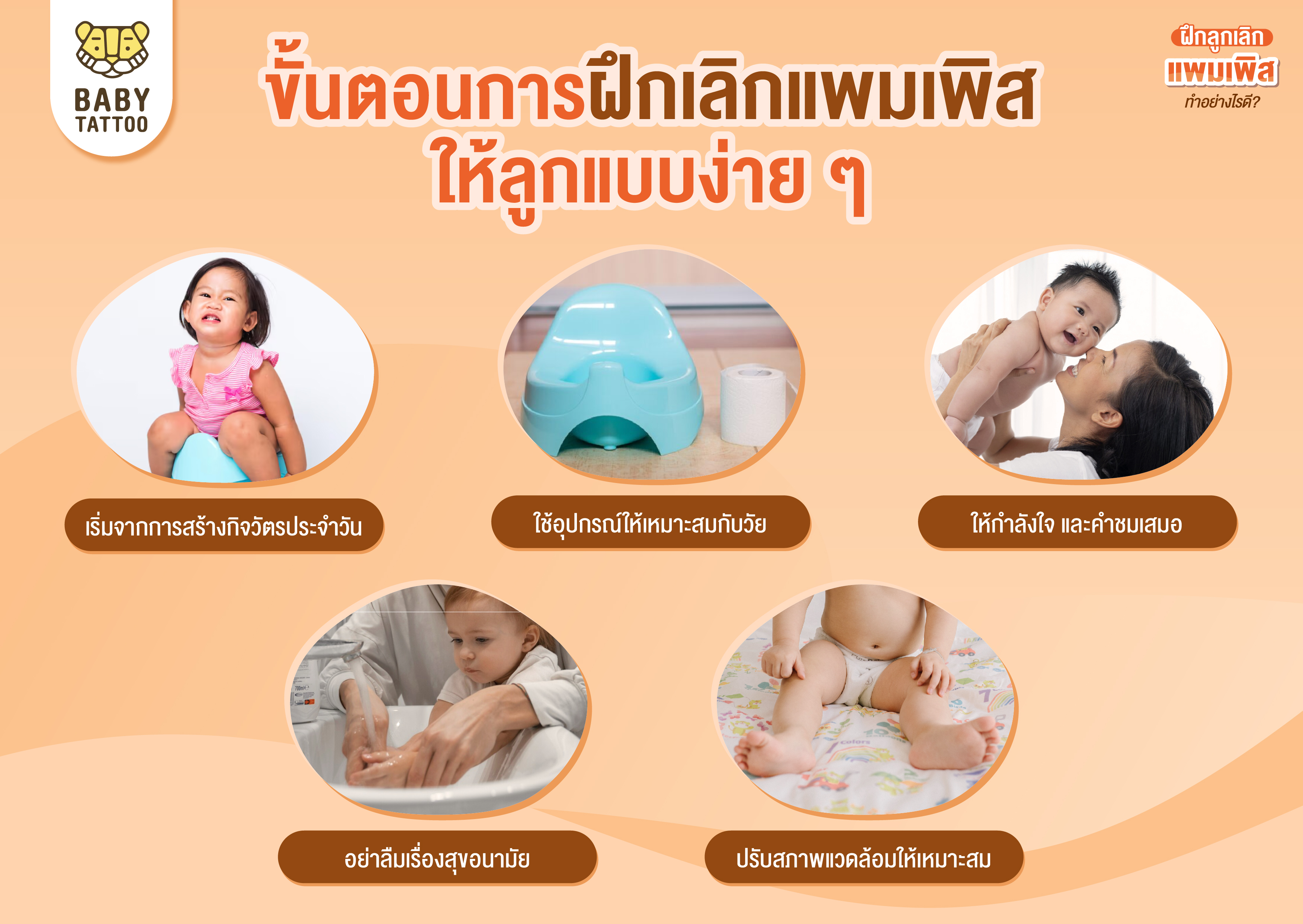 ขั้นตอนการฝึกเลิกแพมเพิส