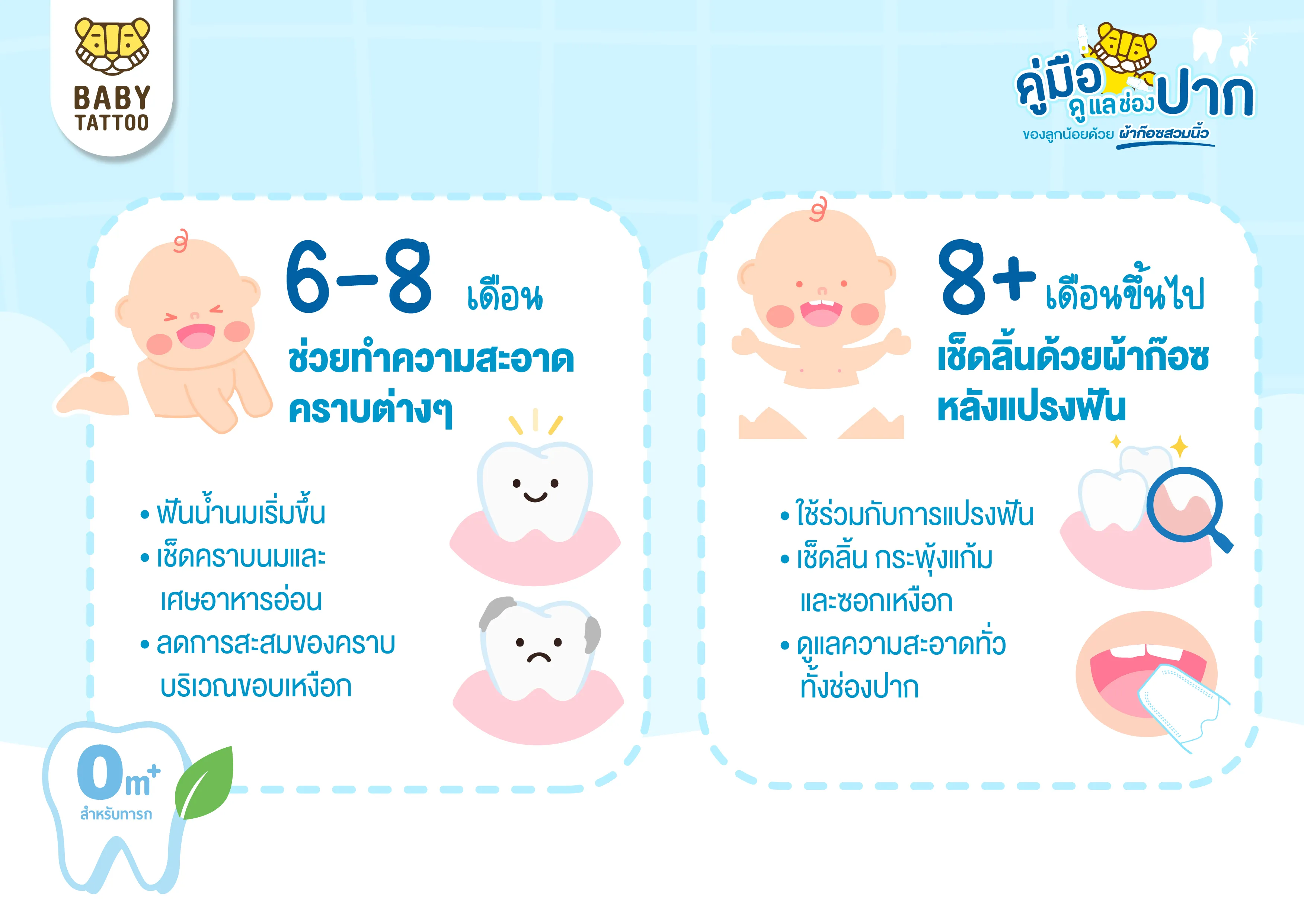 ช่องปากลูกน้อย แต่ละช่วงวัย 6 ถึง 8 เดือนขึ้นไป