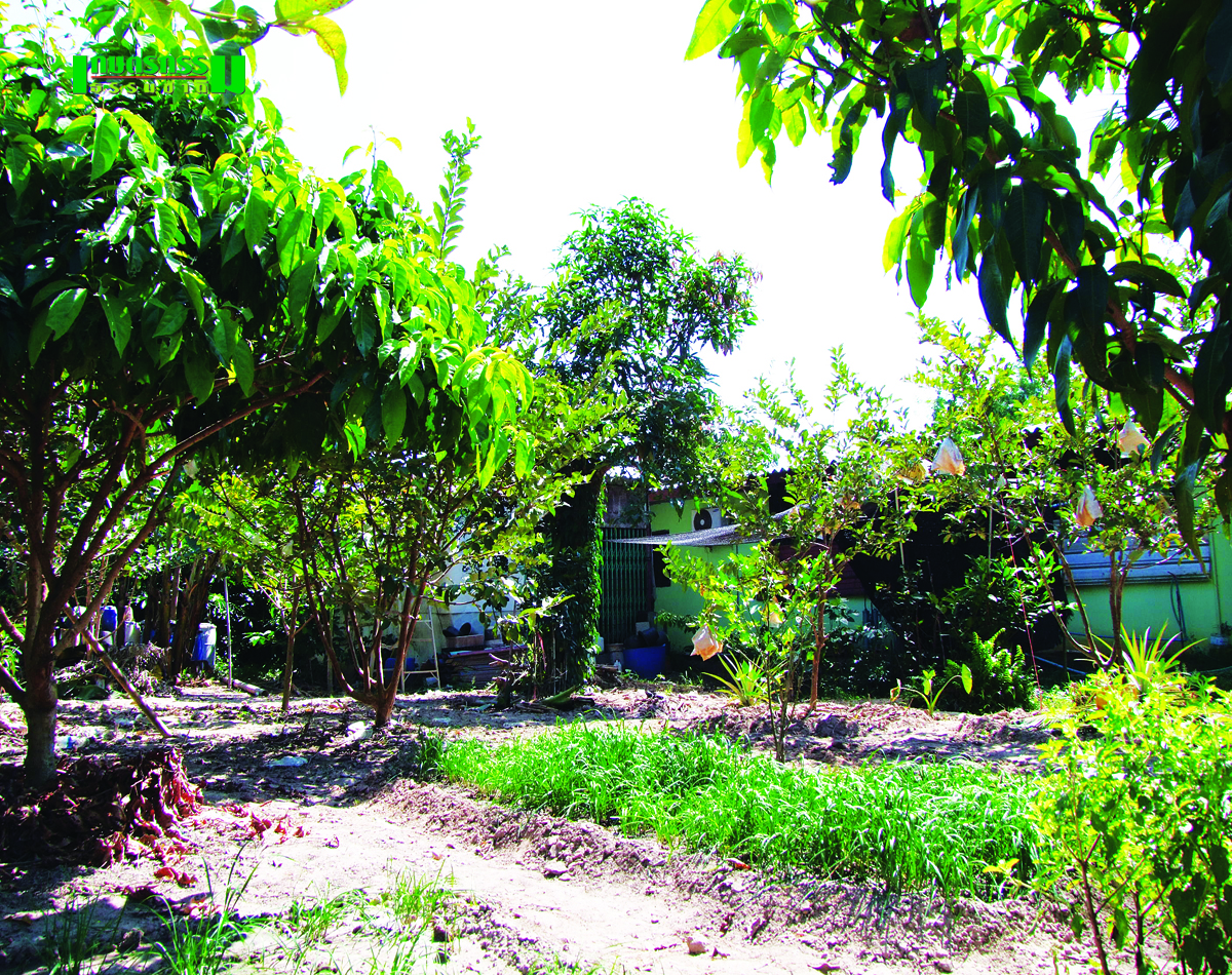 เกษตรกรรวยตั้งแต่ยังหนุ่ม เกษตรกรรวยตั้งแต่ยังหนุ่ม