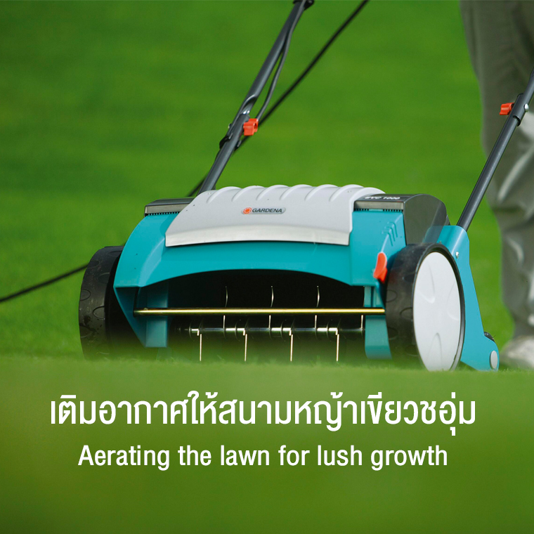 Aerating the lawn for lush growth