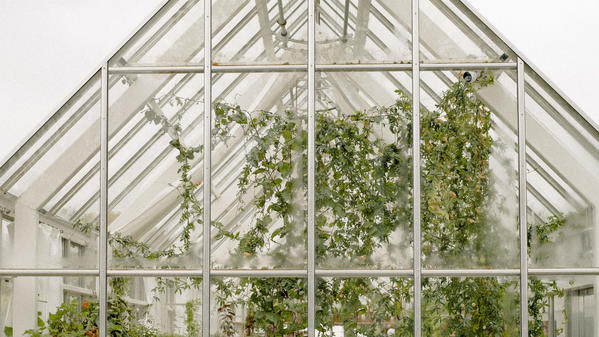 Buying a greenhouse?