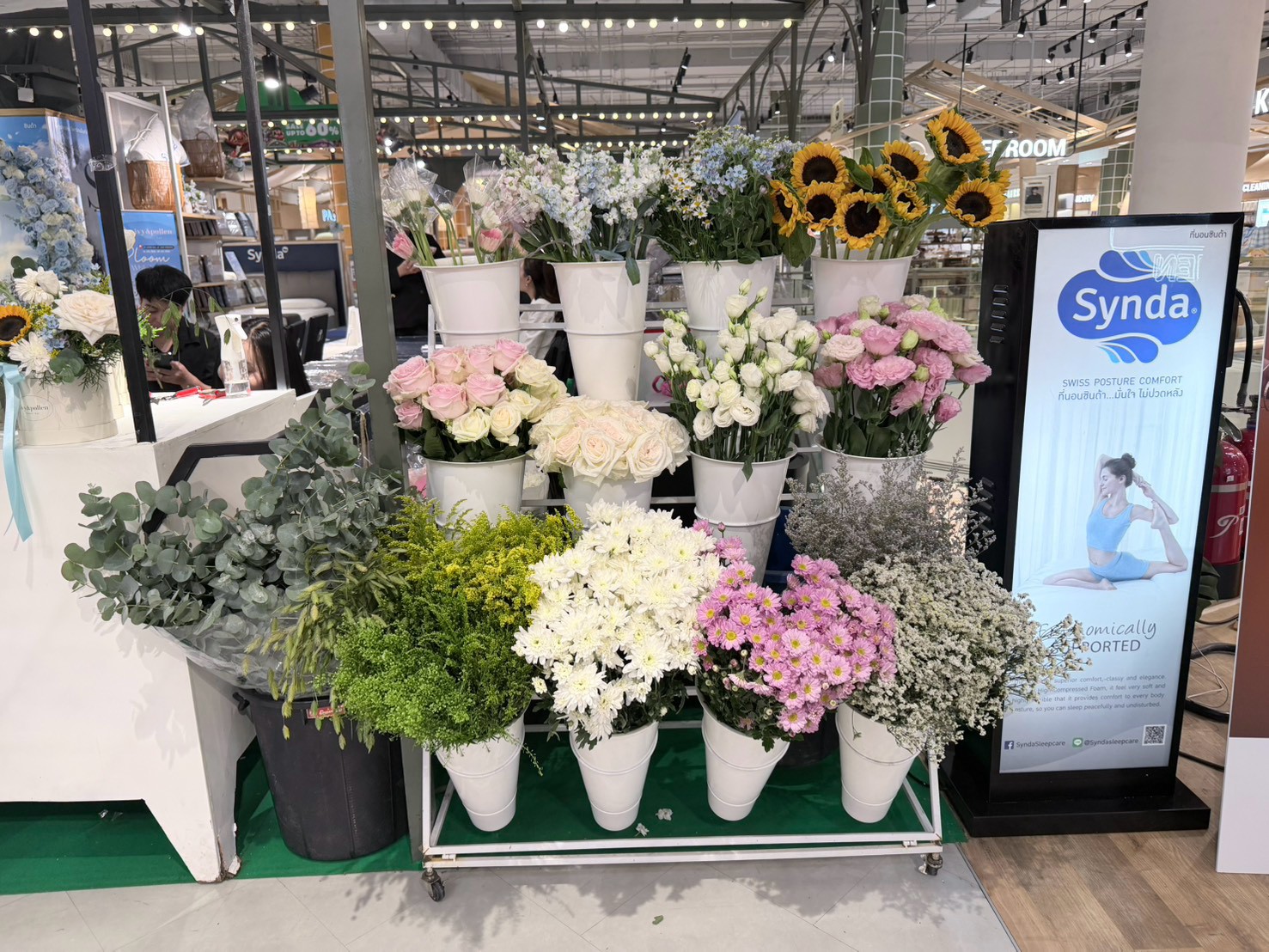synda-thank-you-bloom-while-you-sleep