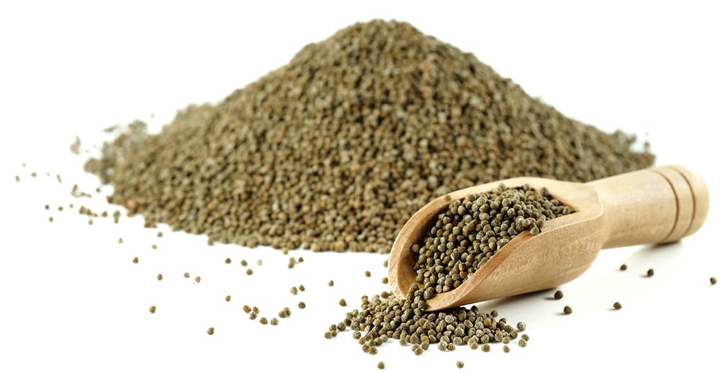 เมล็ดงาม้อน Perilla Seed เมล็ดงาม้อน Perilla Seed