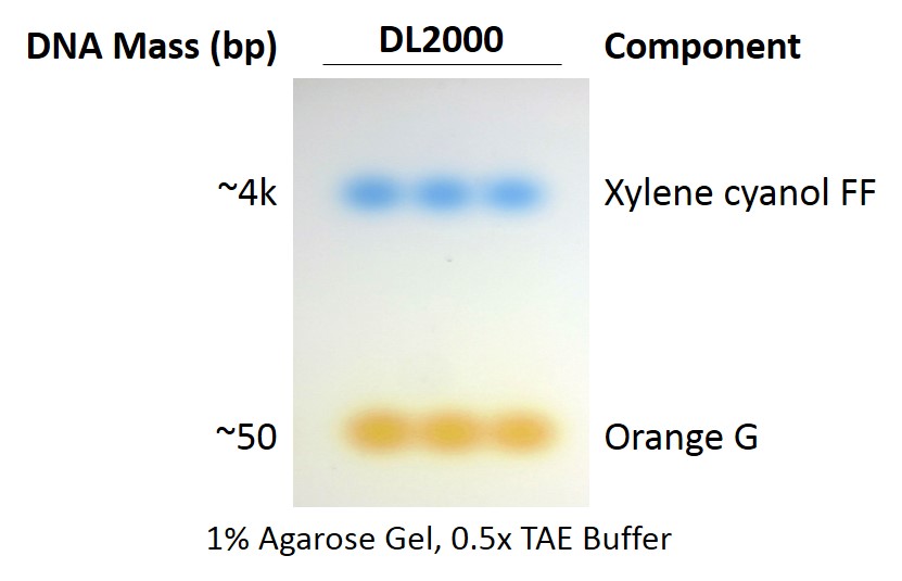 ExcelDye™ 6X DNA Loading Dye, Green, 5 ml x 2 smartscience