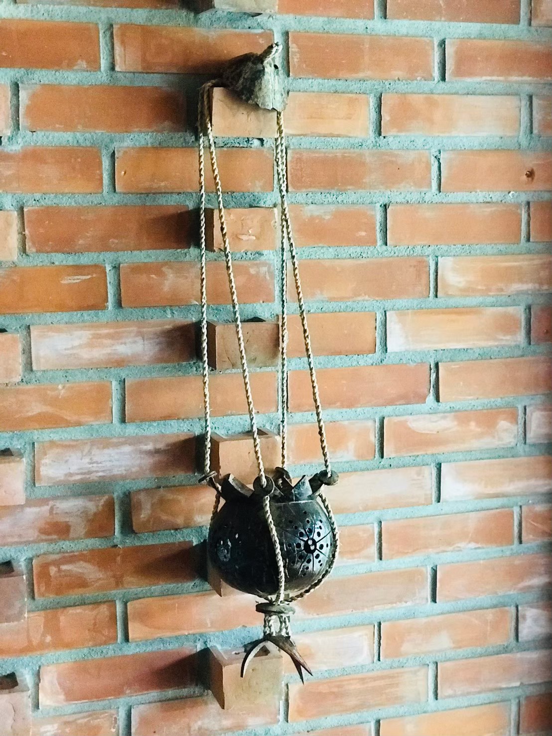 Long rope flower pot by coconut shell (hanger)