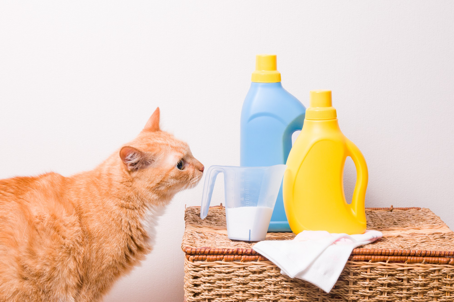 pet friendly cleaner