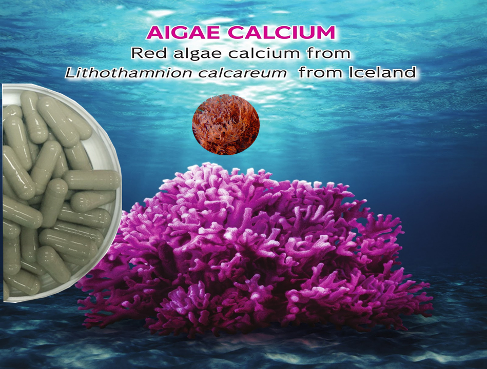 Aquamin (MultiMineral Complex) utsbrand