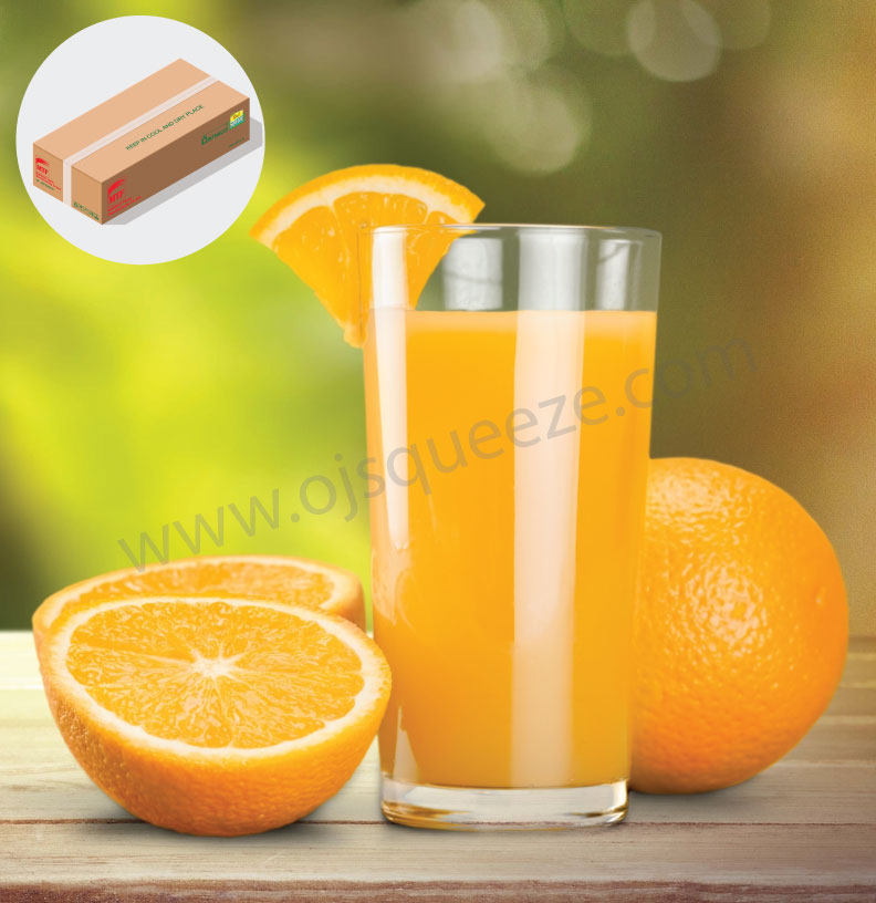 Orange Beverage Powder