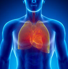 Basic of Life หัวใจเต้นและการหายใจเป็นพื้นฐานของการมีชีวิต